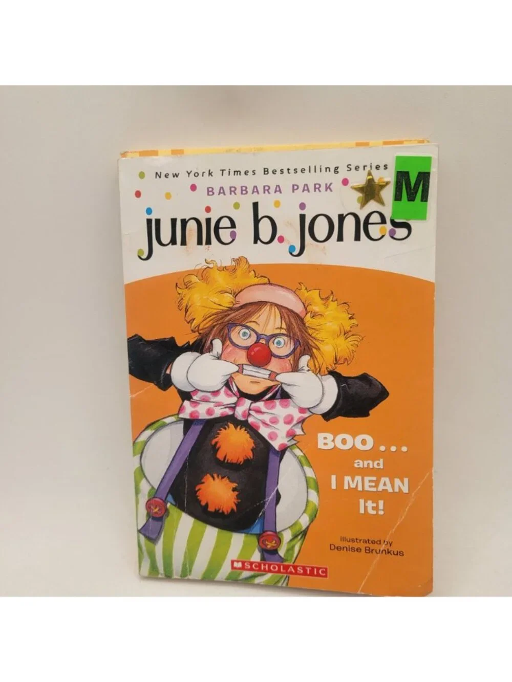 JUNIE B. JONES Lot of 16 Chapter Books by Barbara Park - CB035